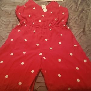 Ann Taylor Jumpsuit